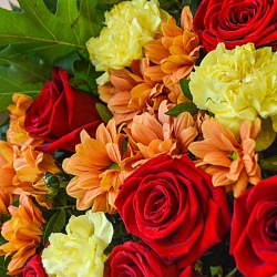 Букет с розами ,хризантемой, гвоздикой,  кверкусом
