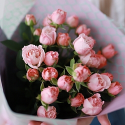 5 кустовых роз Мадам Бомбастик (Голландия)