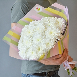 15 белых одноголовых хризантем в упаковке