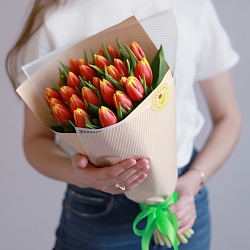 25 Красно-оранжевых тюльпанов в упаковке