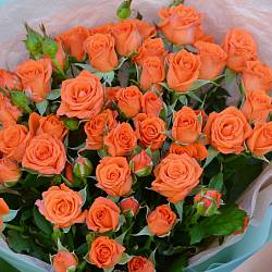 15 оранжевых кустовых роз в упаковке (Кения)