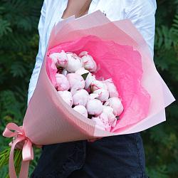 15 розовых пионов Сара Бернар (Голландия)