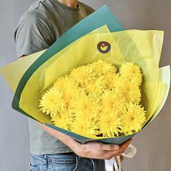 15 желтых одноголовых хризантем в упаковке