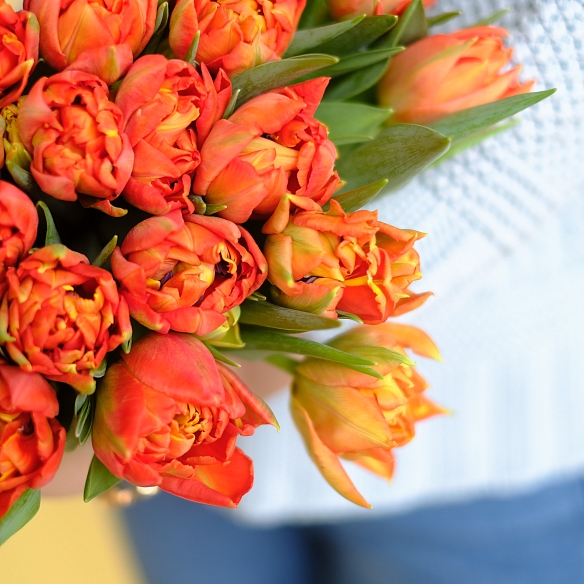 25 красных тюльпанов (Пионовидные)