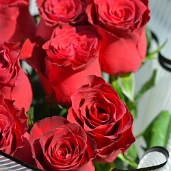 9 красных роз 70см в упаковке (Кения)