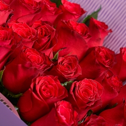 25 красных роз 70см в упаковке (Кения)