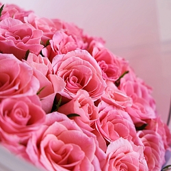 51 розовая роза 35-40см в упаковке (Кения)