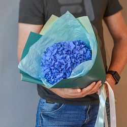 Синяя гортензия в упаковке