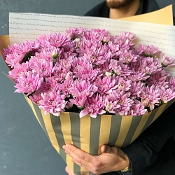 15 розовых кустовых хризантем в упаковке