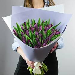 51 фиолетовый тюльпан в упаковке