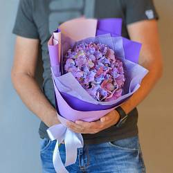 Фиолетовая гортензия в упаковке
