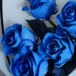 5 роз сорта Blue 60 см (Эквадор)